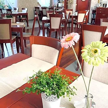 Hotel Lival